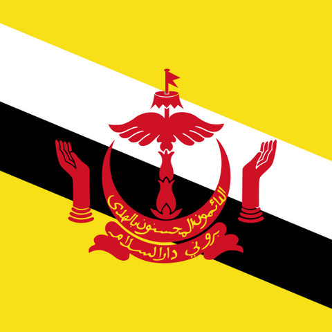 Brunei Darussalam – Brunei Darussalam 20GB 30Days eSIM visual