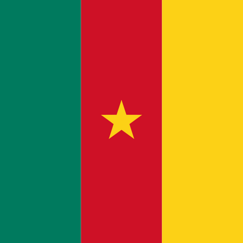 Cameroon – Cameroon 3GB 15Days eSIM visual