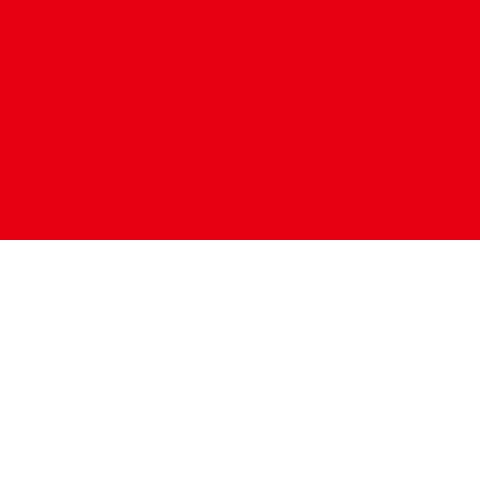 Indonesia – Indonesia 50GB 30Days eSIM visual